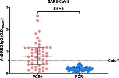 Anti-RBD IgG antibodies from endemic coronaviruses do not protect against the acquisition of SARS-CoV-2 infection among exposed uninfected individuals